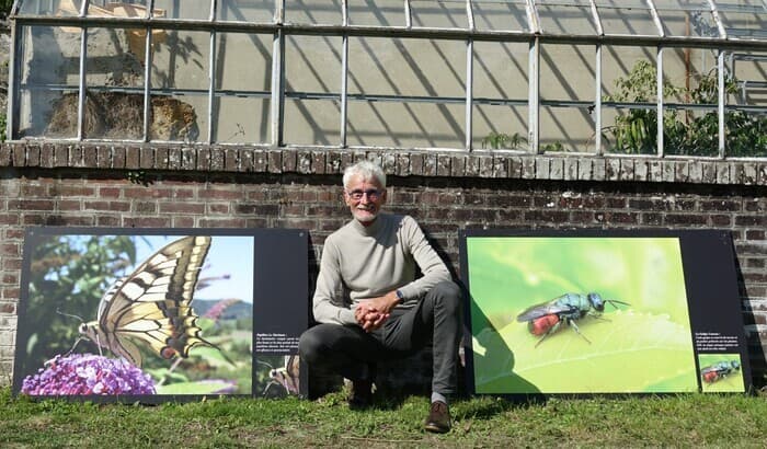 Illustration de l'événement : Balades poétiques sur les insectes