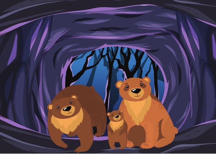 Illustration de l'événement : Visite commentée "Petit ours des cavernes"
