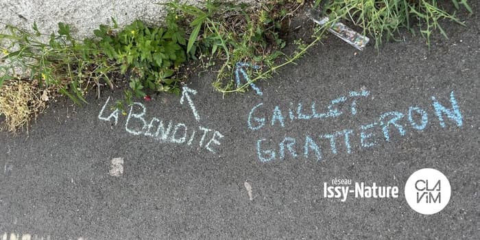 Illustration de l'événement : Initiation : Sauvages de ma rue