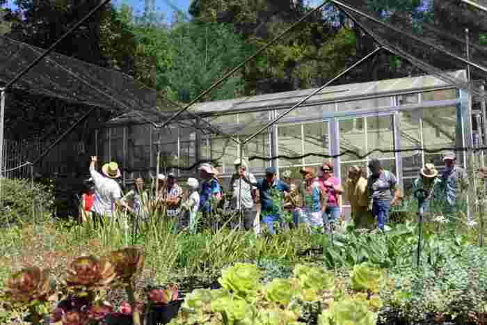 Illustration de l'événement : Visite des "coulisses" du Jardin