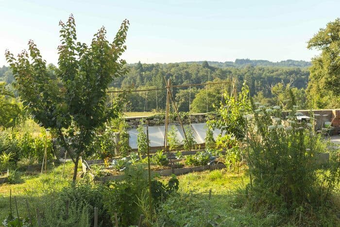 Illustration de l'événement : Imiter la forêt au jardin avec le jardin-forêt
