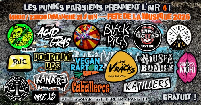 Illustration de l'événement : Les Punks Parisiens prennent l'air - 4
