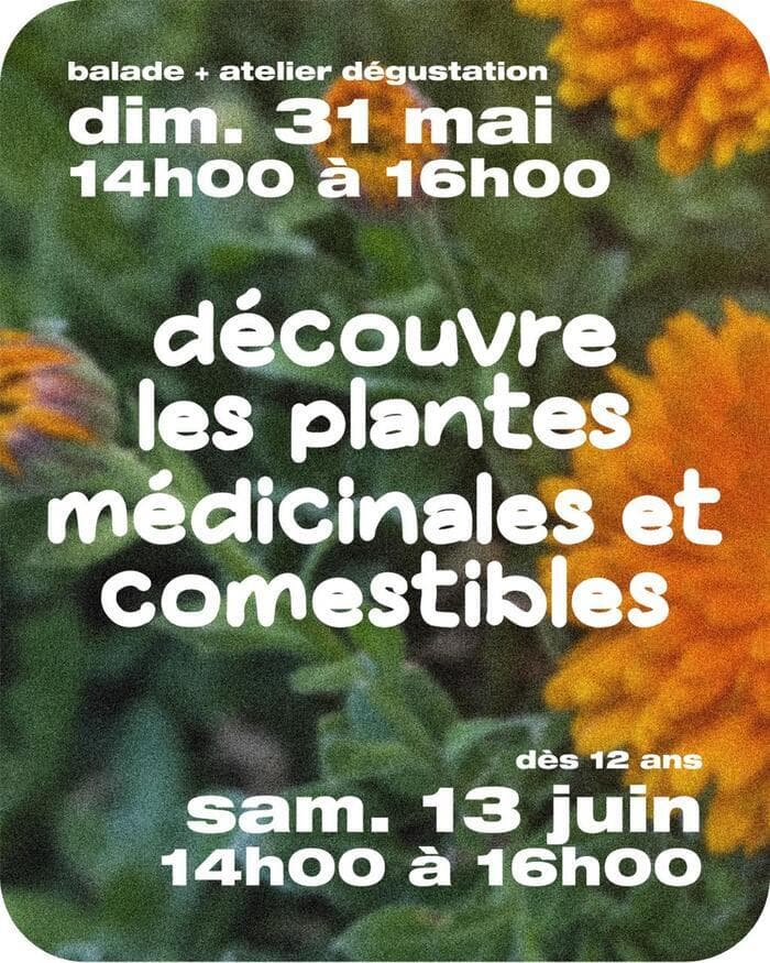 Illustration de l'événement : Découvre les plantes médicinales et comestibles
