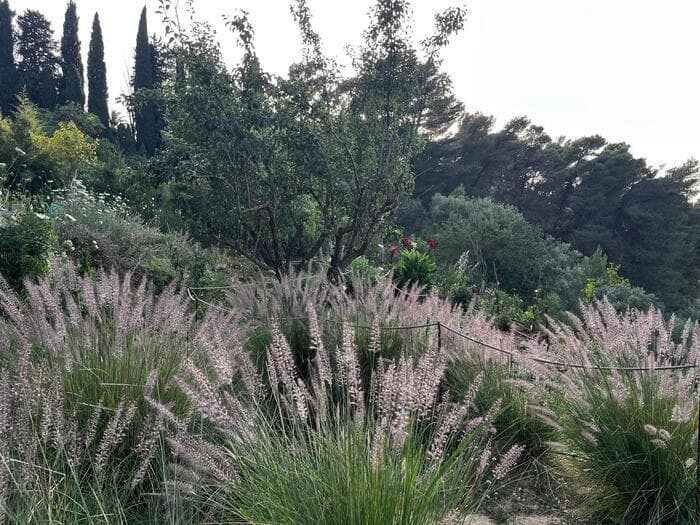 Illustration de l'événement : Jardiniers planétaires, unissons-nous !
