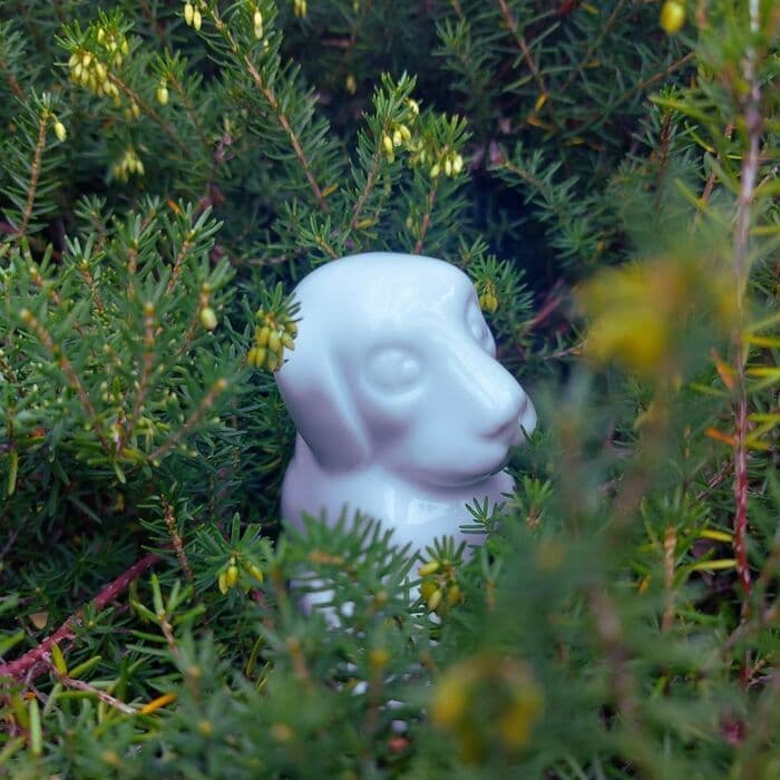 Illustration de l'événement : Mes premiers pas au musée - Mon merveilleux jardin de porcelaine