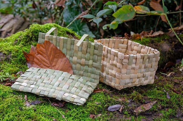 Illustration de l'événement : Vivre sa Nature - Vannerie en feuilles de massette
