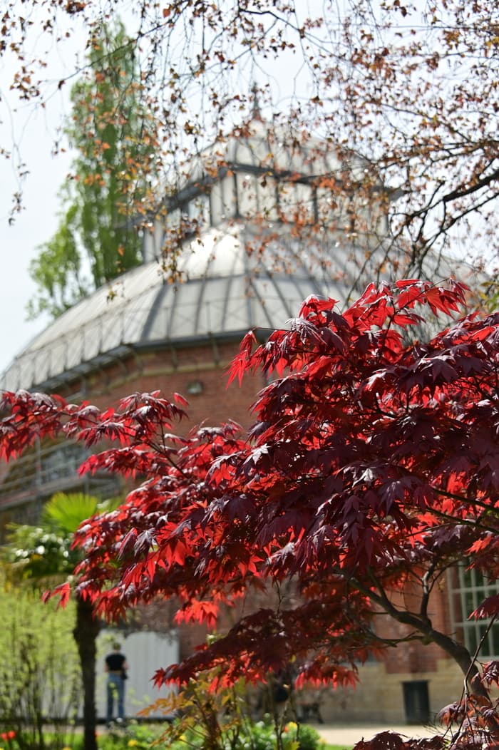 Illustration de l'événement : Rendez-vous au Jardin botanique