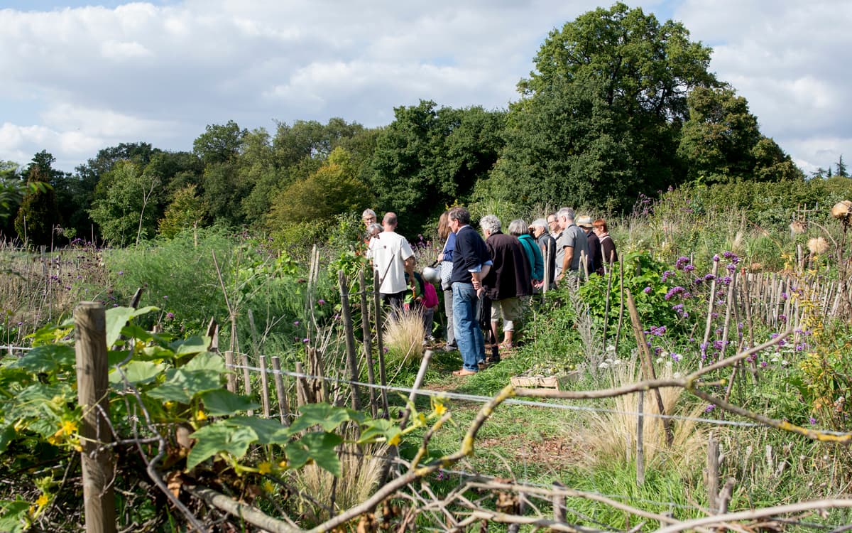 Illustration de l'événement : Chantier participatif à la Ferme de Paris