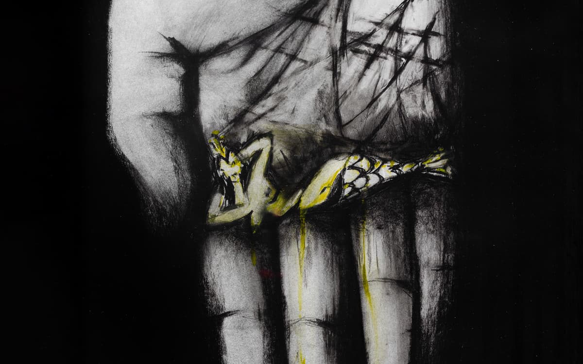 Illustration de l'événement : ANNETTE MESSAGER / Sirénocturne