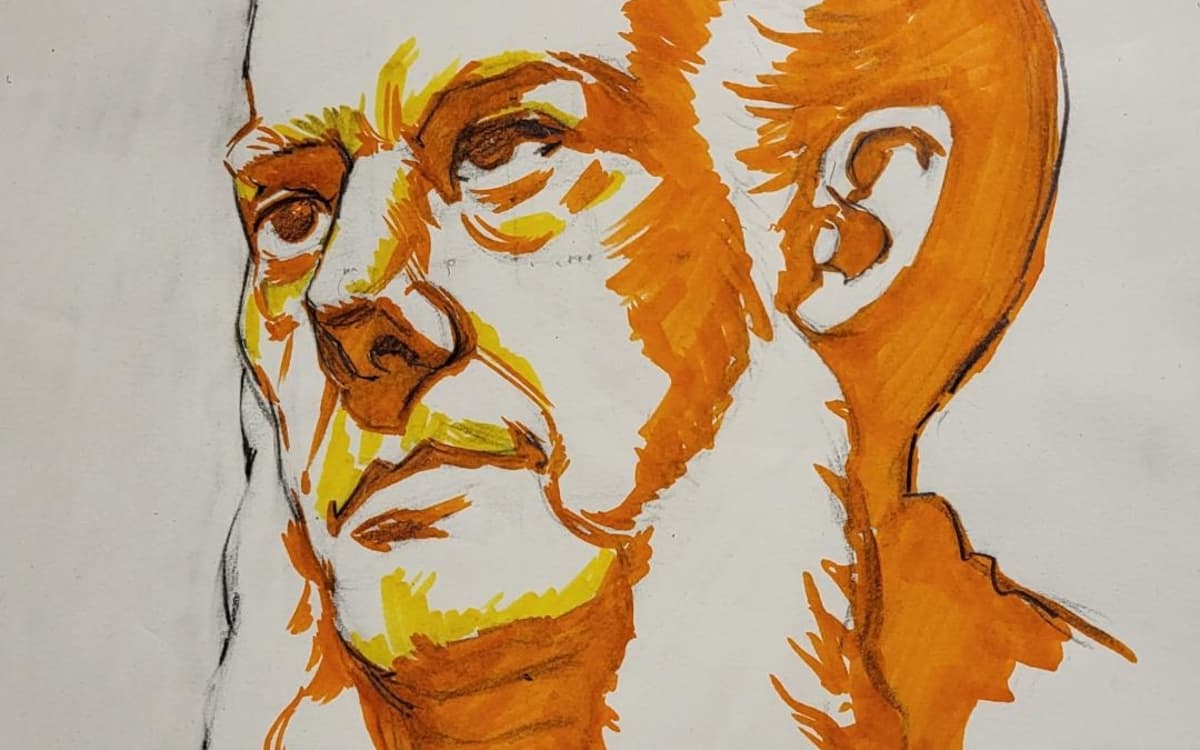 Illustration de l'événement : Stage de dessin du portrait