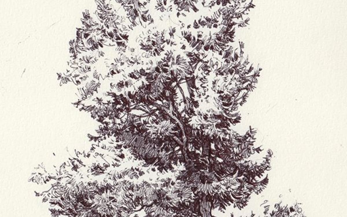 Illustration de l'événement : Stage de dessin du paysage