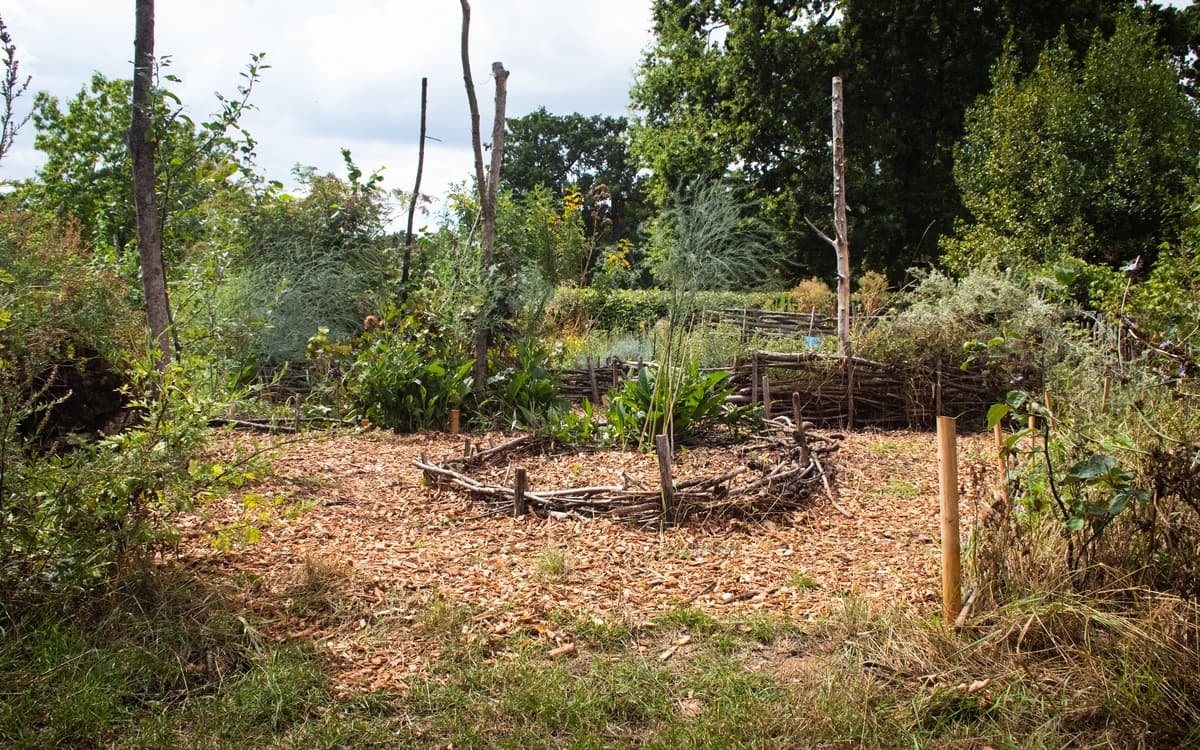 Illustration de l'événement : Chantier permaculture