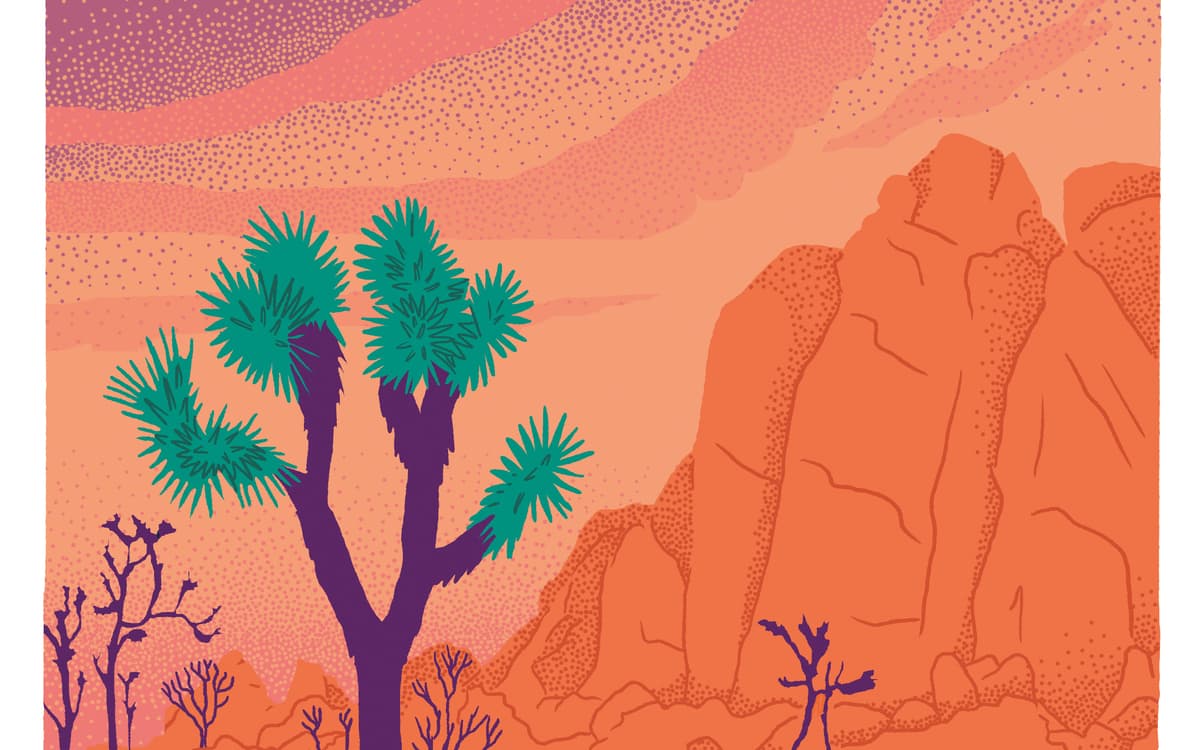 Illustration de l'événement : Festival Un Temps pour Elles : NUITS AMÉRICAINES