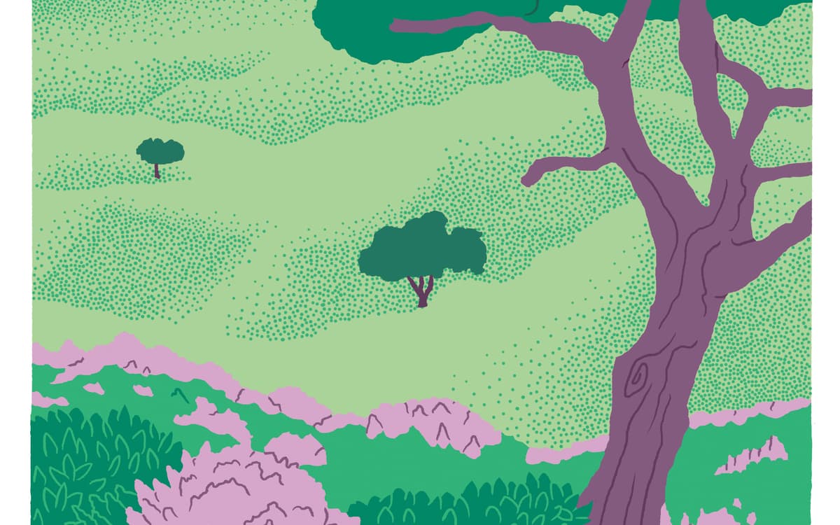 Illustration de l'événement : Festival Un Temps pour Elles : SOUS LES ARBRES