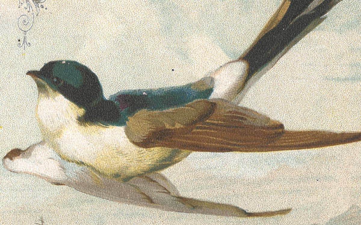 Illustration de l'événement : Chœur OTrente : Concerts Liebeslieder