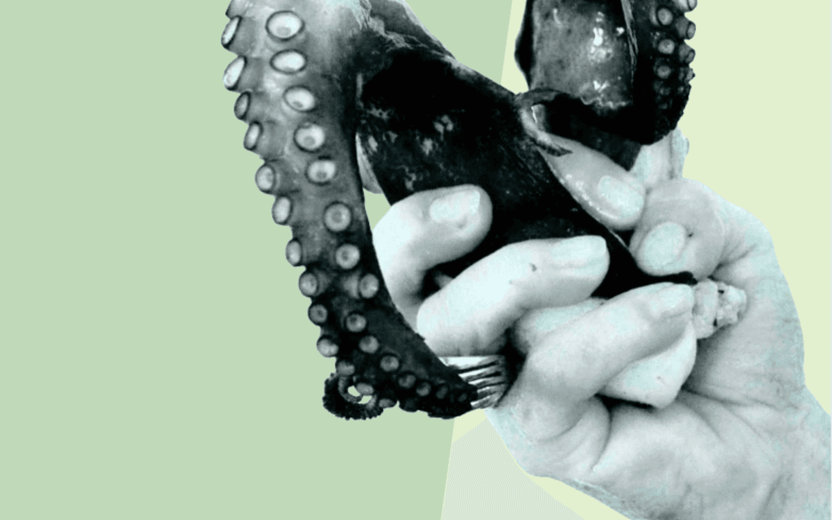 Illustration de l'événement : Exposition Bicéphale (8-15 juin) au Wilde