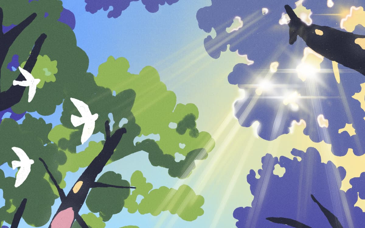 Illustration de l'événement : Les Nuits des Forêts au Jardin d'agronomie tropicale de Paris