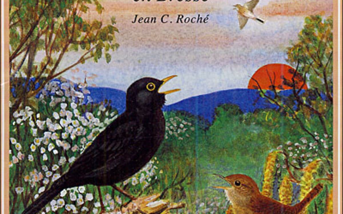Illustration de l'événement : Le Grand bain : le réveil des oiseaux en Bresse