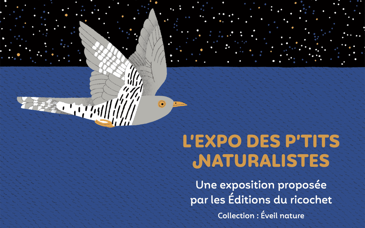 Illustration de l'événement : Exposition | Les P'tits naturalistes