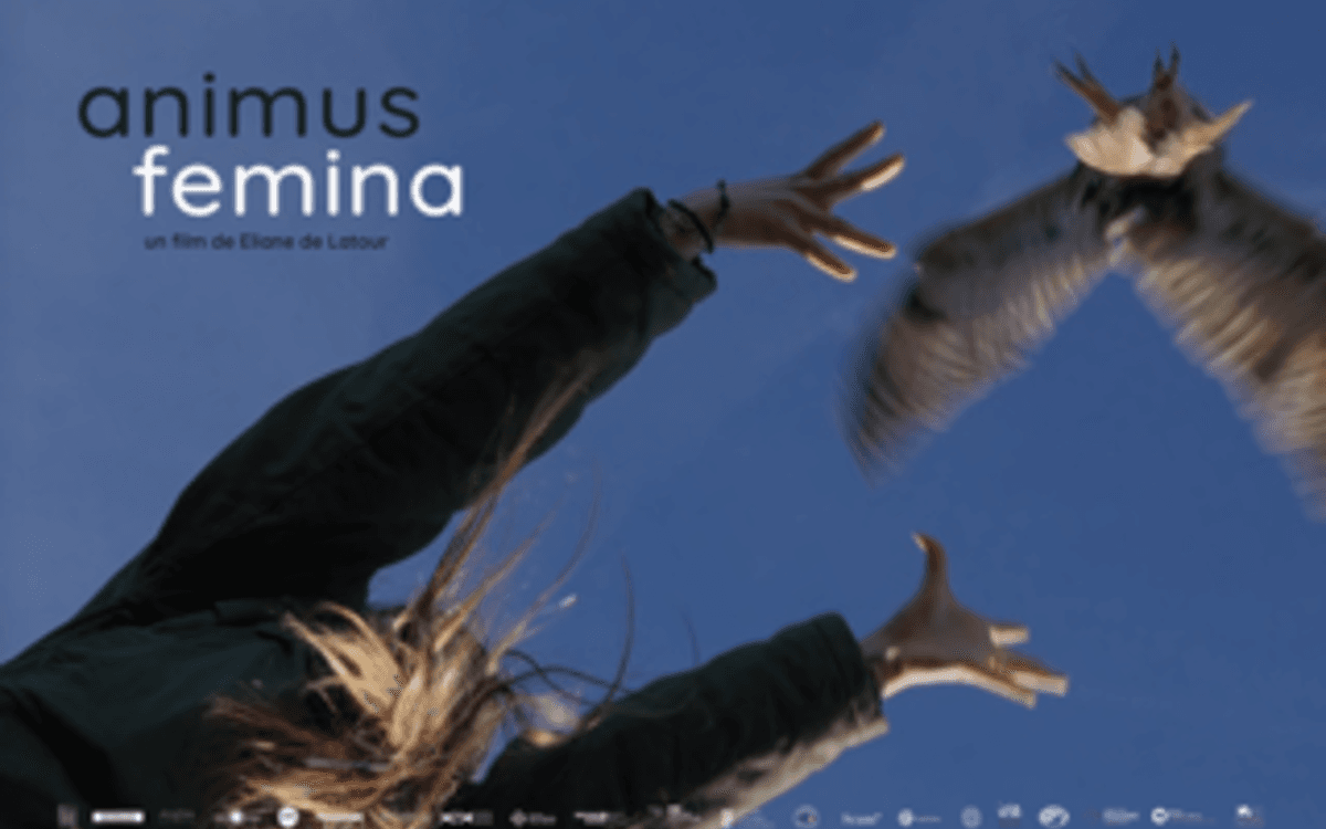 Illustration de l'événement : Animus femina : projection-débat en présence d'Eliane de Latour