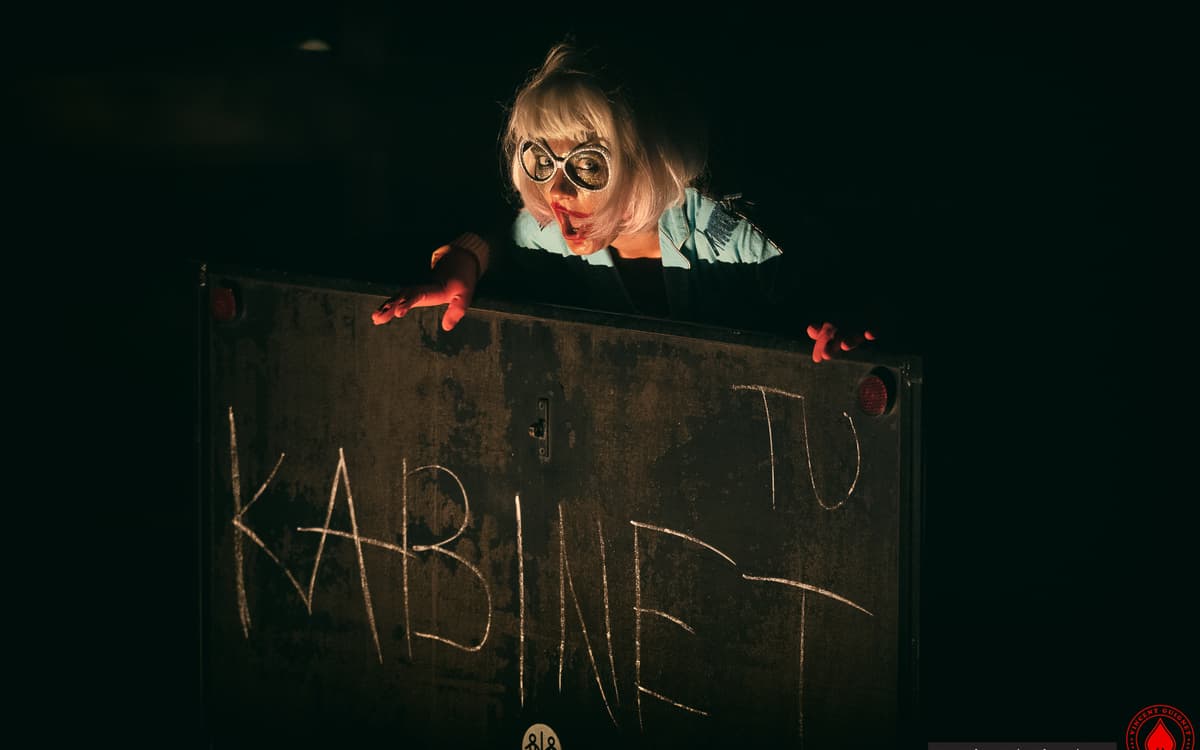 Illustration de l'événement : Séance de psychanalyse clownesque et collective
