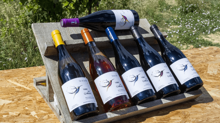 Illustration de l'événement : PLONGEZ DANS LE QUOTIDIEN D'UN VIGNERON
