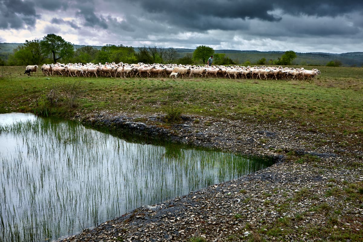 Illustration de l'événement : Exposition ParcourS, un regard sur le paysage