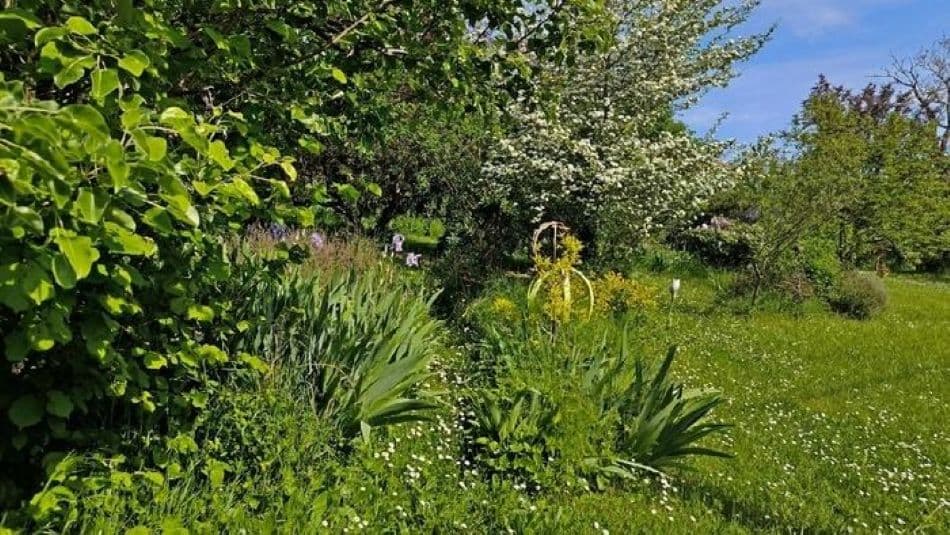 Illustration de l'événement : Rendez vous aux jardins : Visite du Jardin d'Artiste à Figeac
