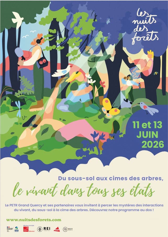 Illustration de l'événement : Nuits des forêts - Du sous-sol aux cimes des arbres, le vivant dans tous ses états