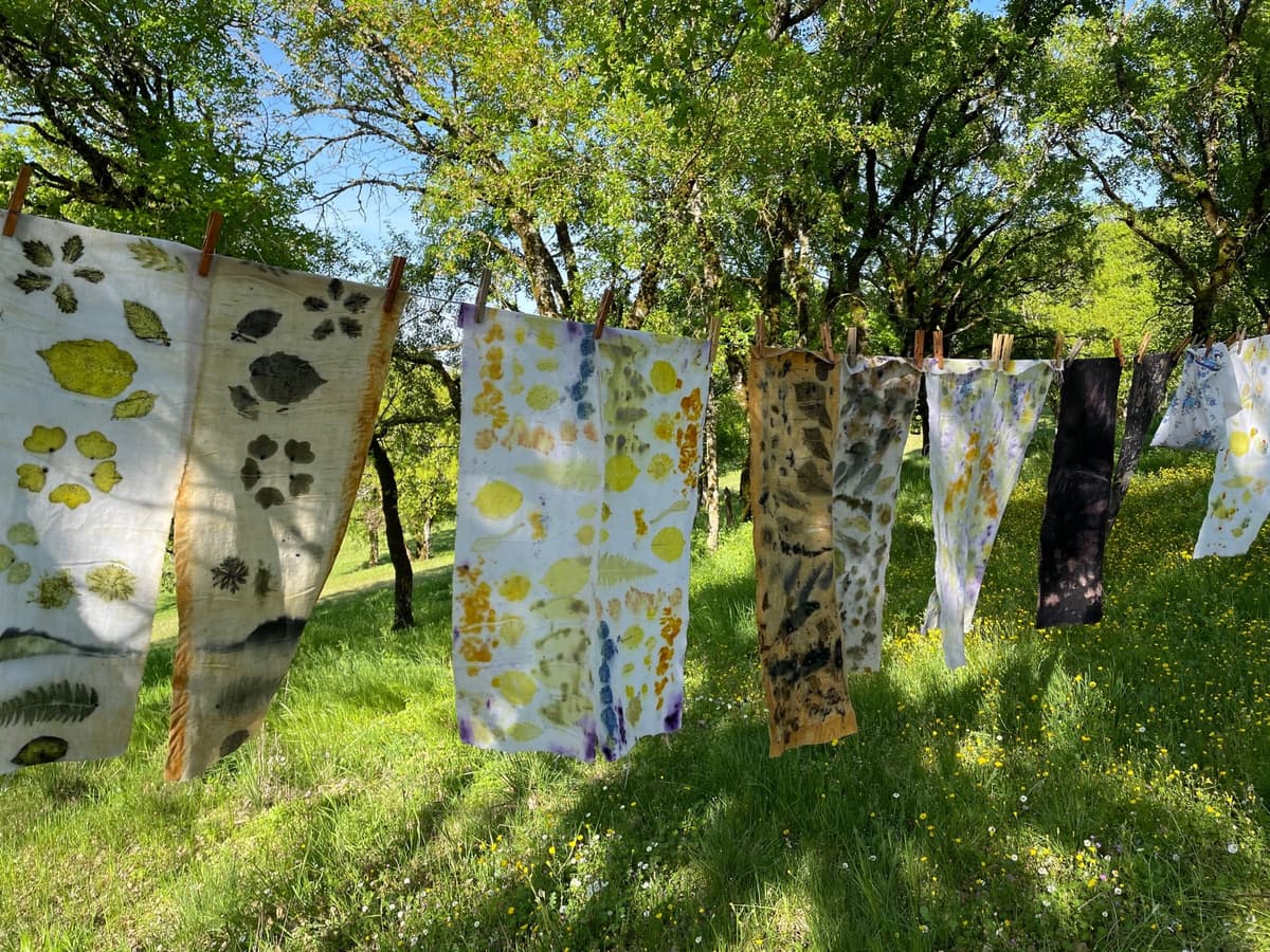 Illustration de l'événement : Atelier Ecoprint M.A Nature