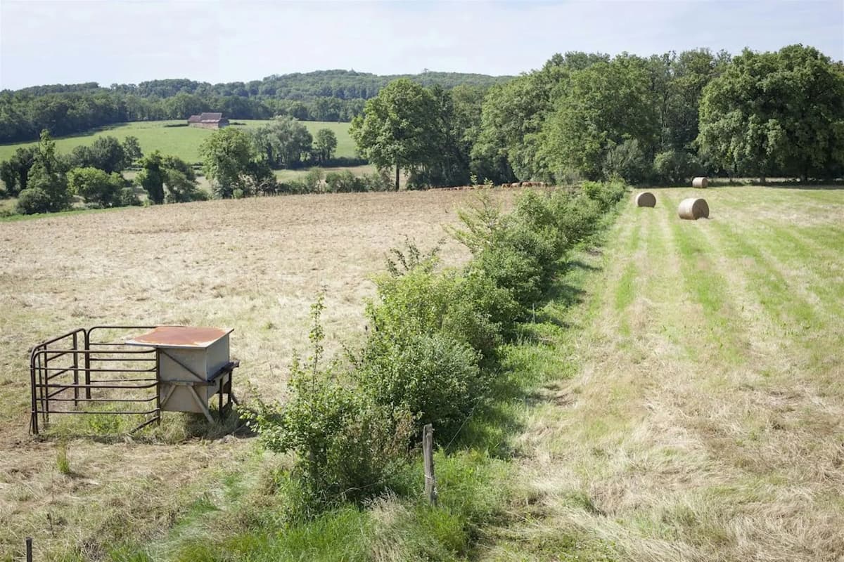 Illustration de l'événement : Des arbres et des champs, agroforesterie, visite de terrain à Reyrevignes