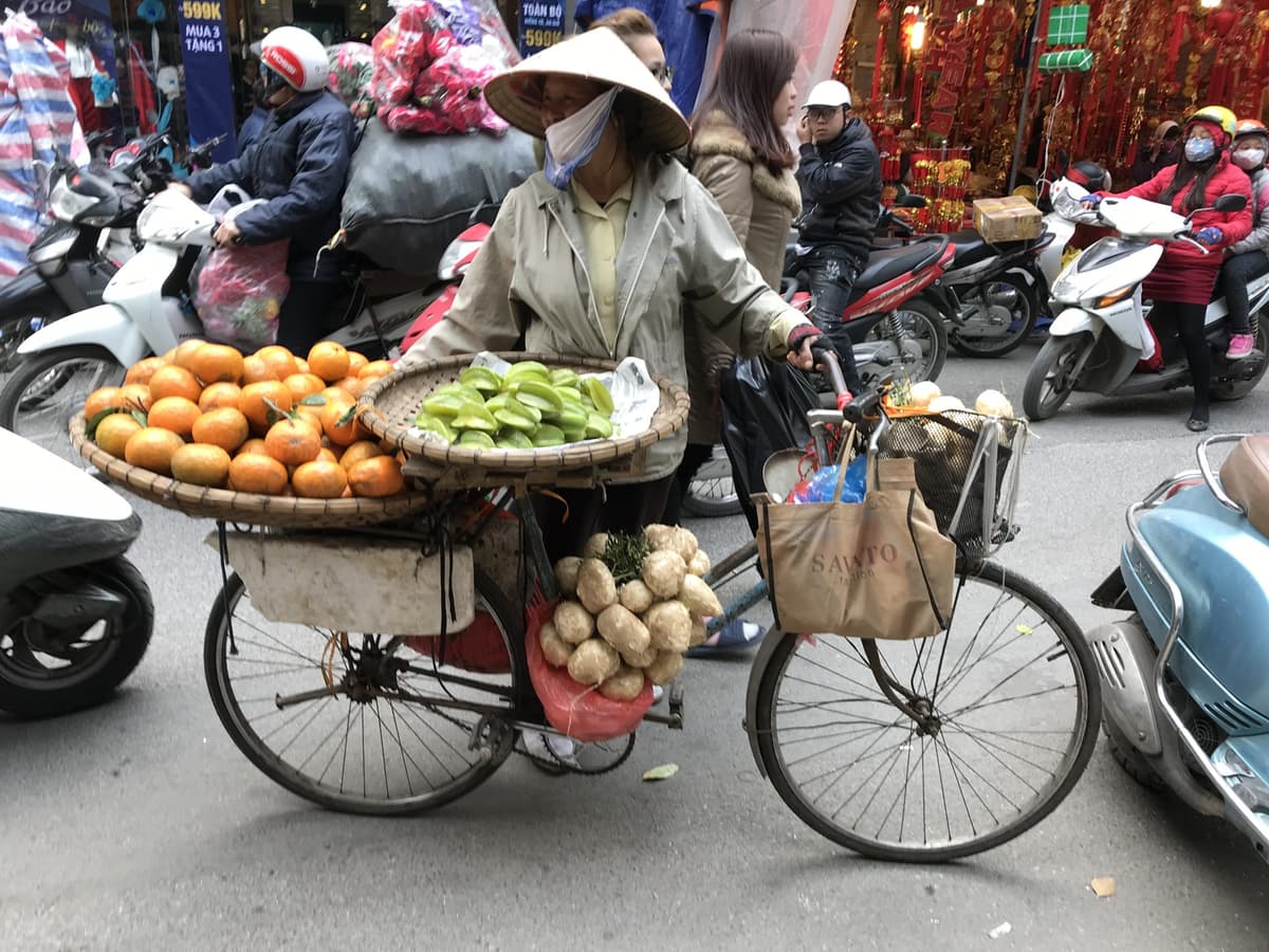 Illustration de l'événement : Conférence de Latitude, les Amis de Barbara Phillips : Le Vietnam, modernité, histoire et tradition