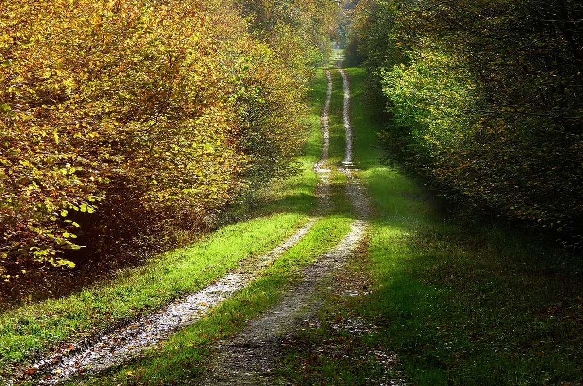 Illustration de l'événement : Trail "Del Tuc al Riu" à Saint-Chamarand