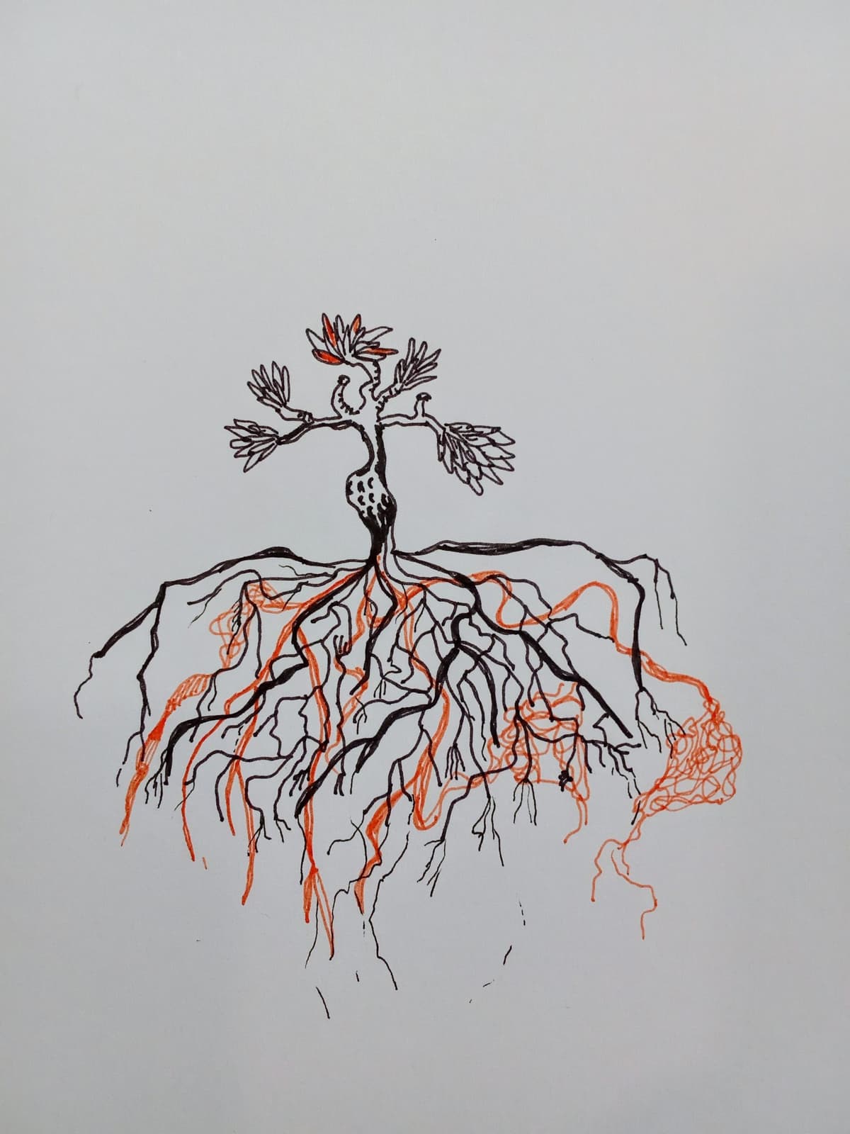 Illustration de l'événement : Déambulation théâtralisée, musicale & sonore - La forêt crisse
