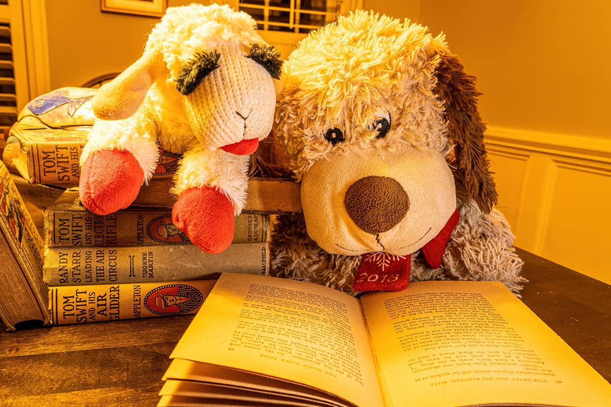 Illustration de l'événement : LECTURE POUR LES TOUT-PETITS
