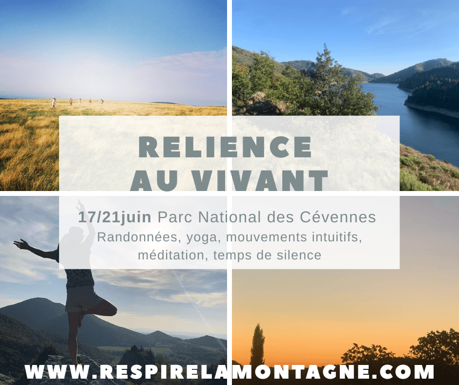 Illustration de l'événement : STAGE RELIENCE AU VIVANT