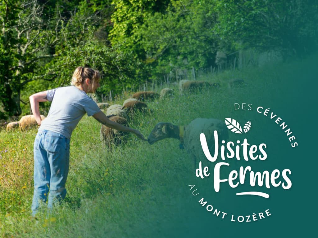 Illustration de l'événement : VISITES DE FERMES 2026: LES SAVEURS DU CASTANET