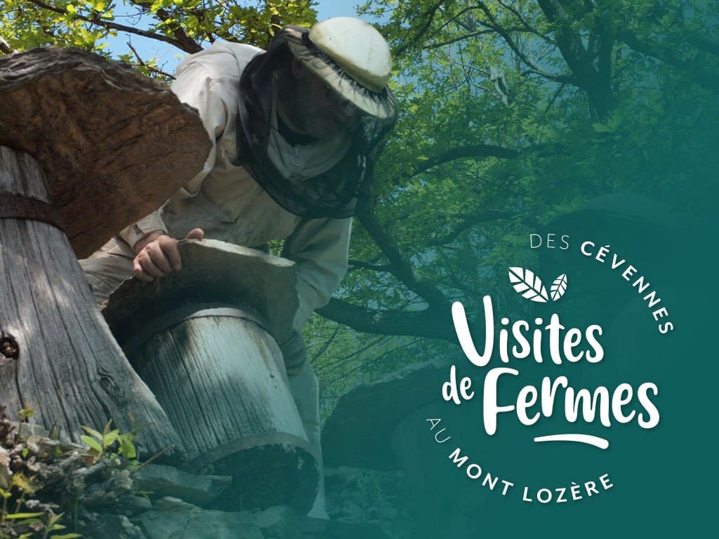 Illustration de l'événement : VISITES DE FERMES 2026 : L'ARBRE AUX ABEILLES