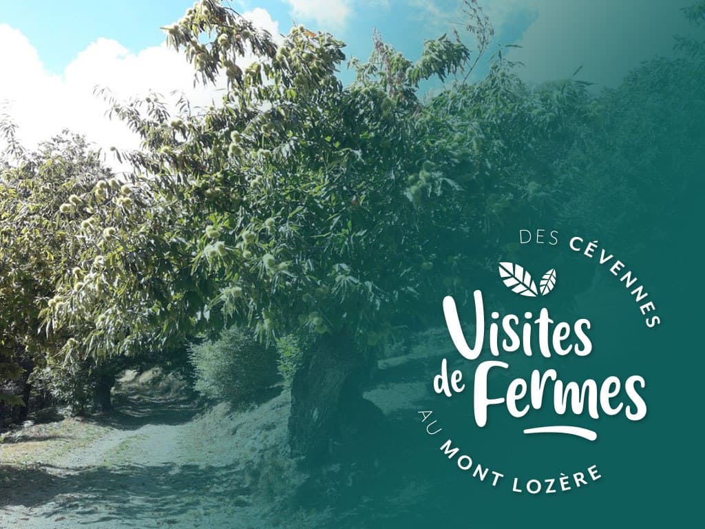 Illustration de l'événement : VISITES DE FERMES 2026 : LES CHATAIGNERAIES DE MATTHIAS