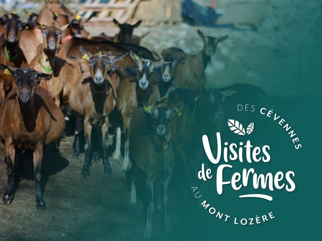Illustration de l'événement : VISITES DE FERMES 2026 : LA FERME DE COCAGNE