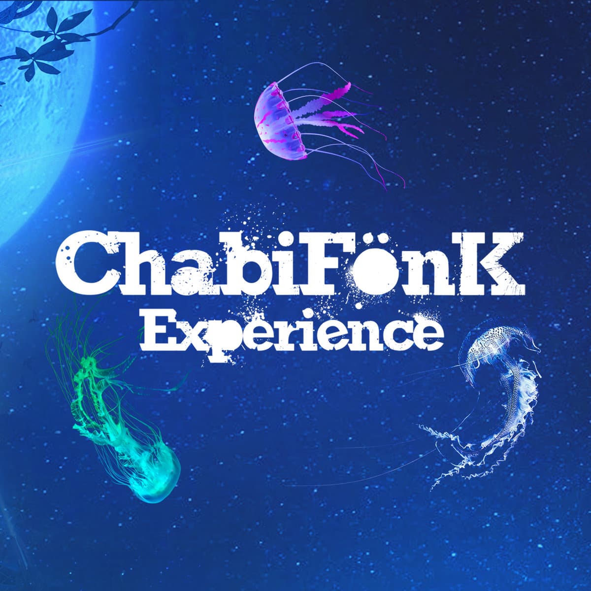Illustration de l'événement : Concert avec ChabiFonk Expérience