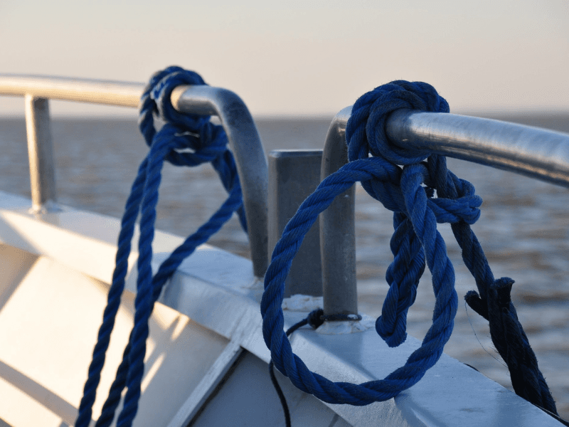 Illustration de l'événement : Croisière du dimanche sur l'estuaire à Terres d'Oiseaux