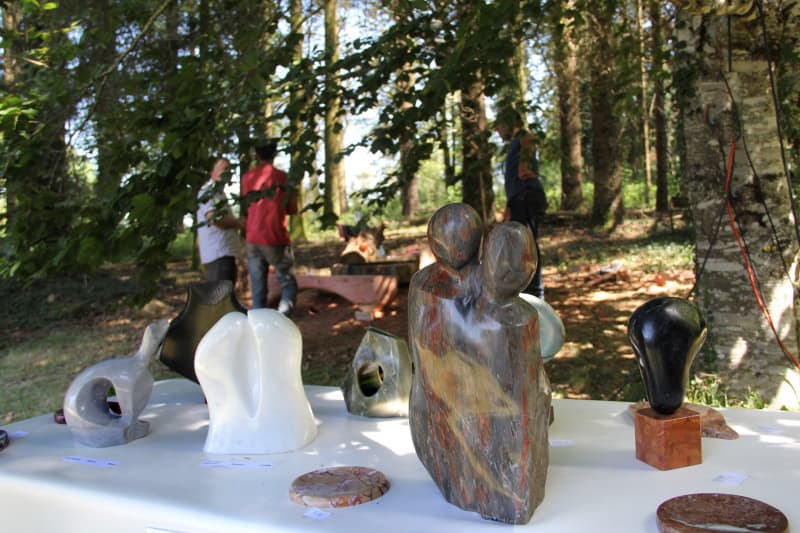 Illustration de l'événement : Festival Les Rodins des Bois - Artistes et artisans d’art en action