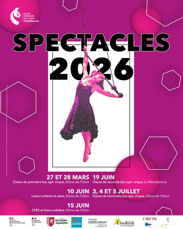 Illustration de l'événement : Spectacle seconde bac cirque