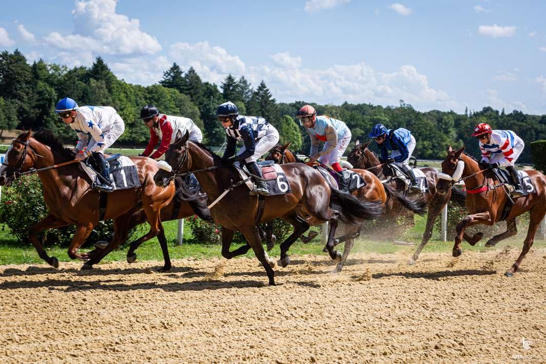 Illustration de l'événement : Courses hippiques : Fête du cheval