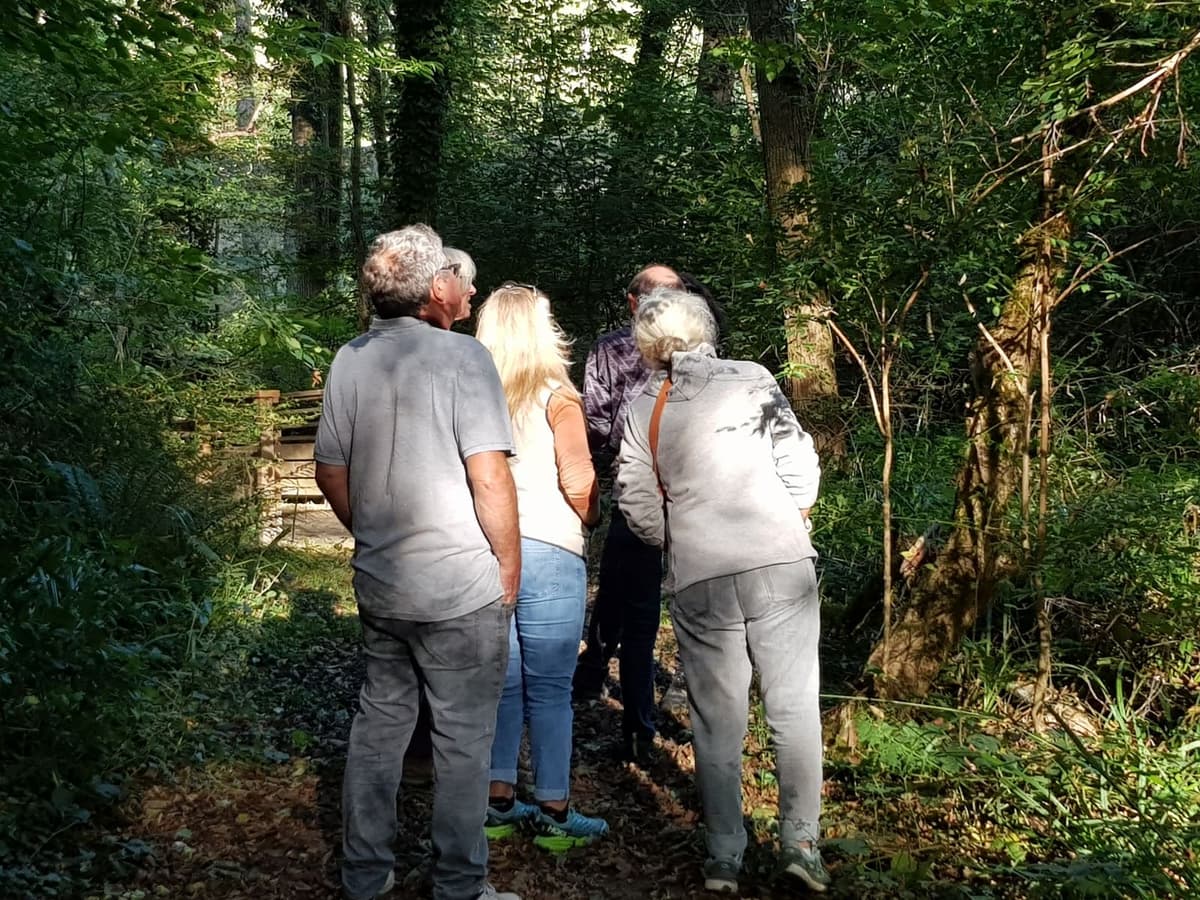 Illustration de l'événement : Balade sur le Domaine nature et de loisirs de Blasimon
