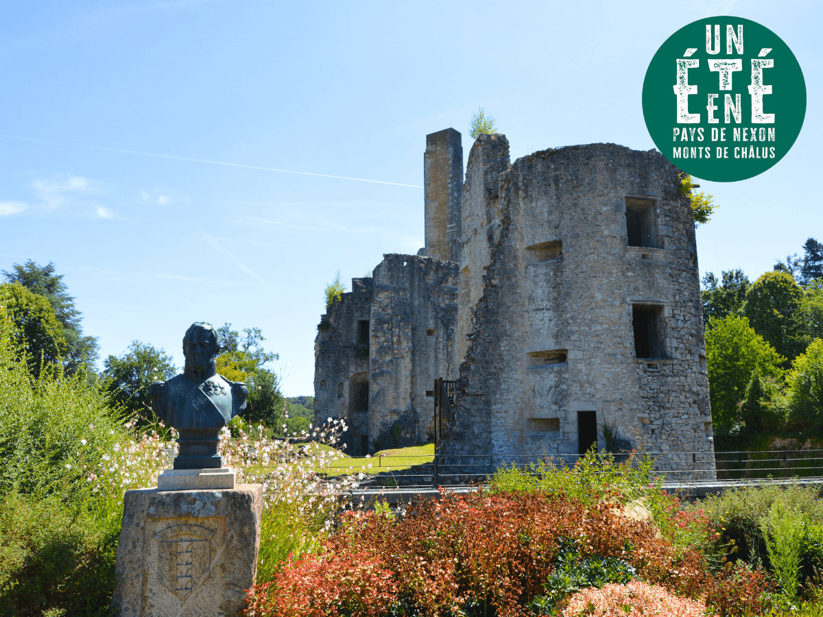 Illustration de l'événement : Visite commentée du Château des Cars