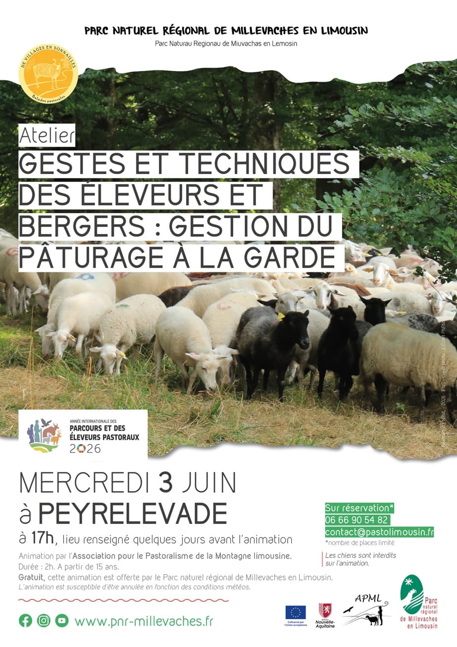 Illustration de l'événement : Gestes et techniques des éleveurs et bergers : gestion du pâturage à la garde