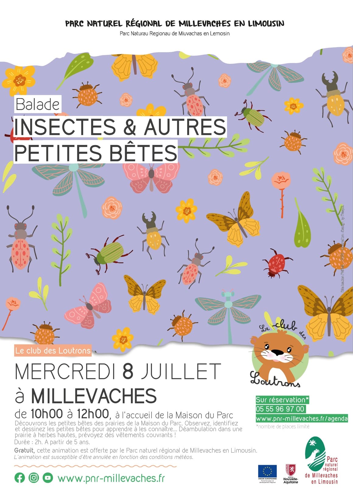 Illustration de l'événement : Atelier insectes et autres petites bêtes