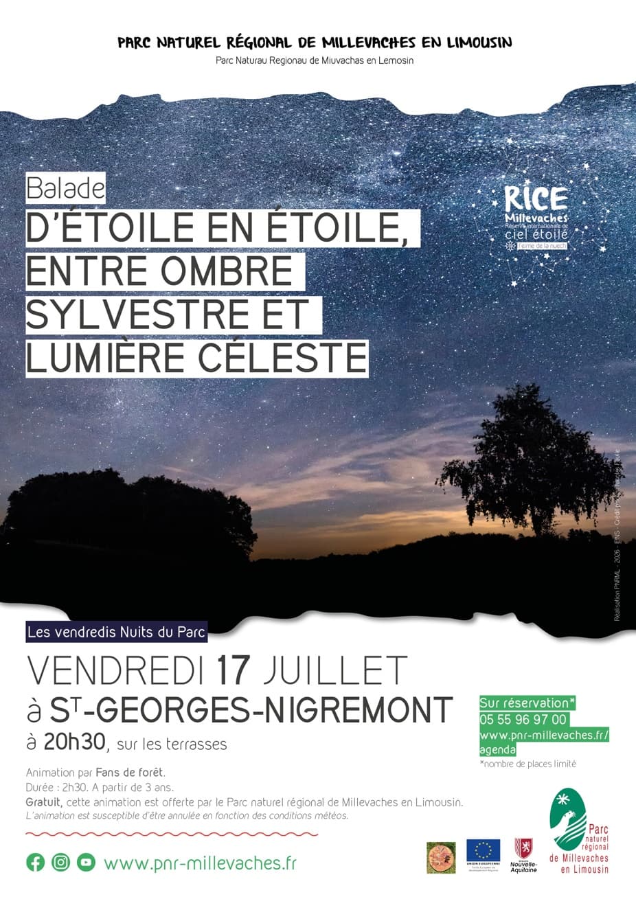 Illustration de l'événement : D'étoile en étoile, entre ombre sylvestre et lumière céleste